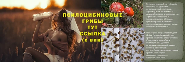 прущие крисы Абинск