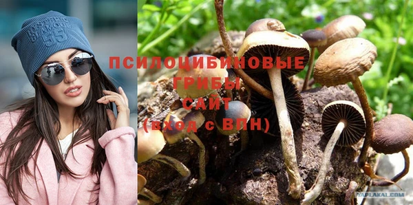 ешки Абаза