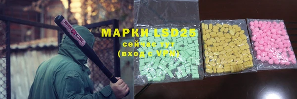 индика Алзамай