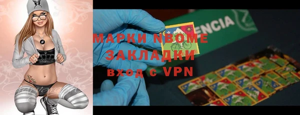 индика Алзамай