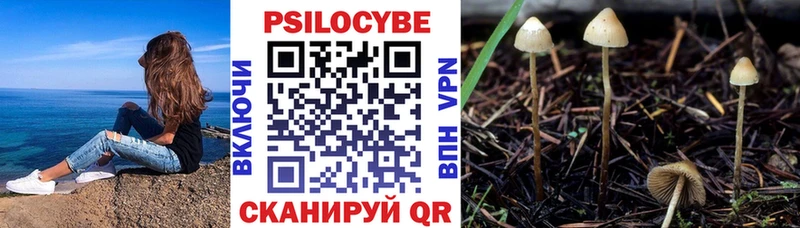 Псилоцибиновые грибы Psilocybe  мега   Нефтегорск 